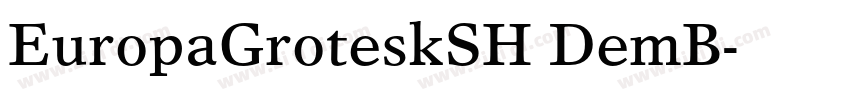 EuropaGroteskSH DemB字体转换